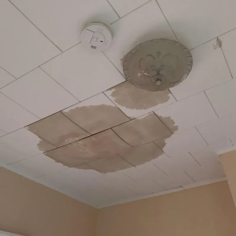 Ceiling Water Damage Repair in Rock County, NE