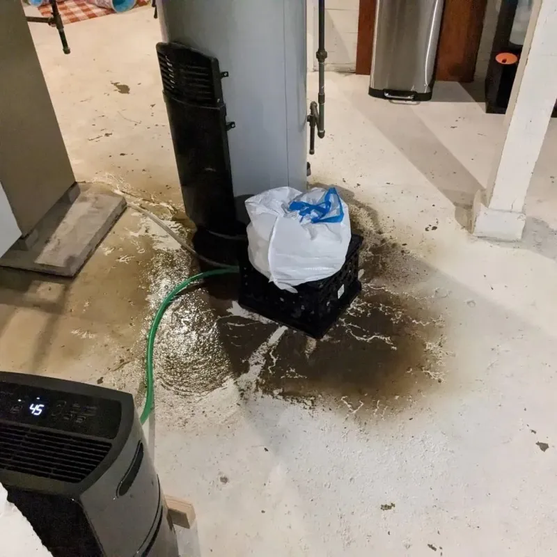 Sewage Backup Cleanup Service in Rock County, NE